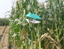 Load image into Gallery viewer, Adhesive Glue Traps Home Fruit Farm